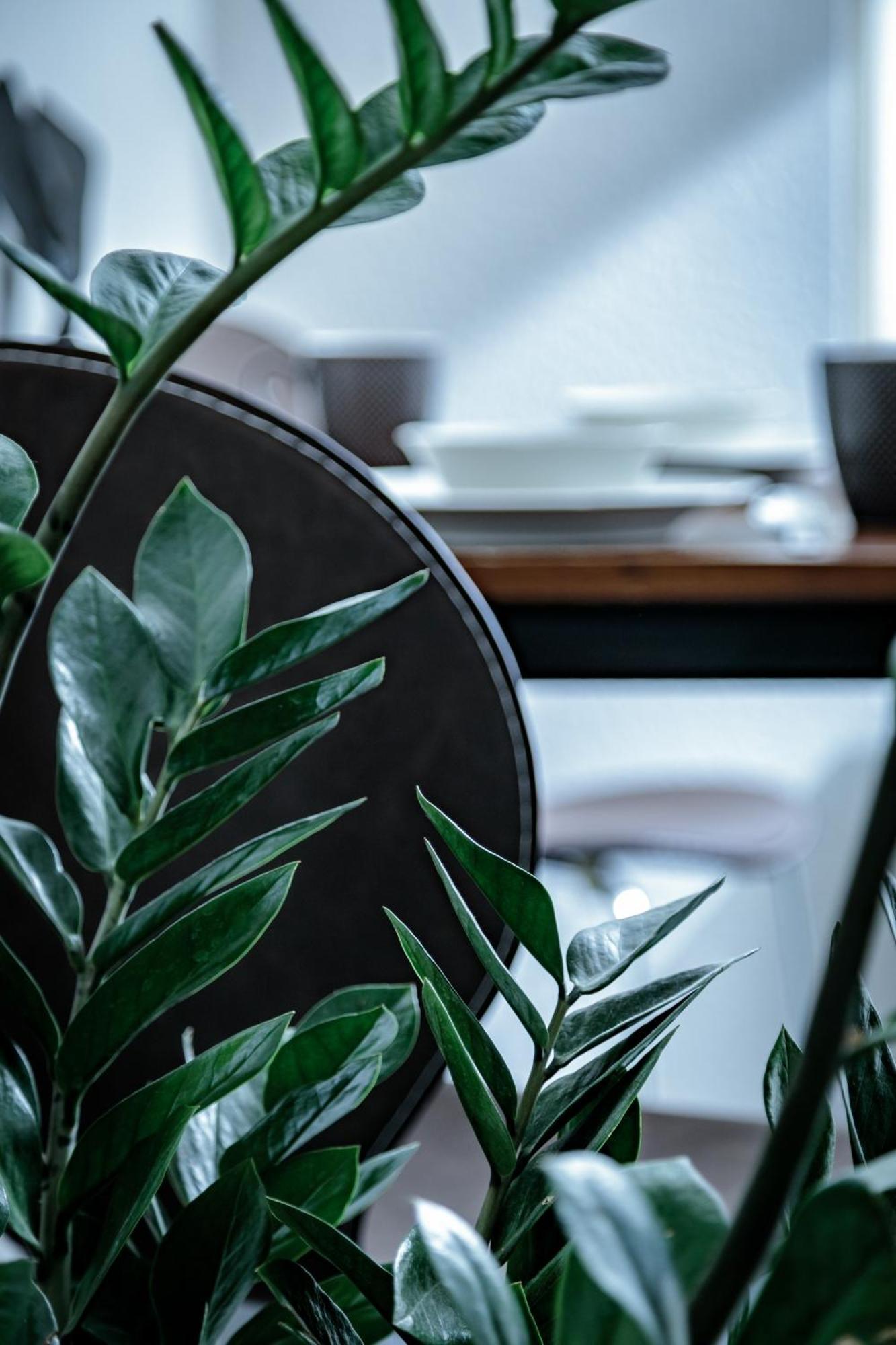 Apartmán Neuwerk Erfurt Exteriér fotografie